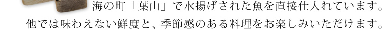 海の町「葉山」で水揚げされた魚を直接仕入れています。他では味わえない鮮度と、季節感のある料理をお楽しみいただけます。